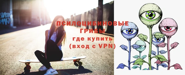 ешки Алзамай